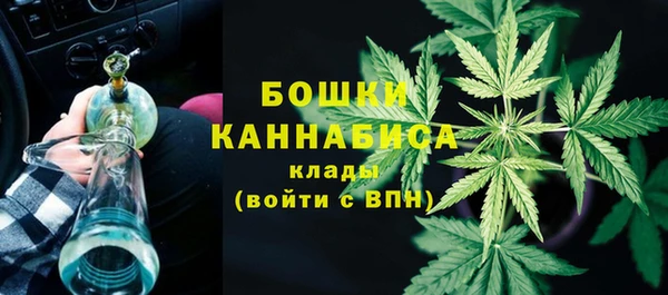 индика Вязники